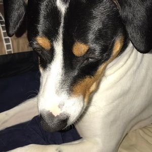 Meet your Posher, Aiden